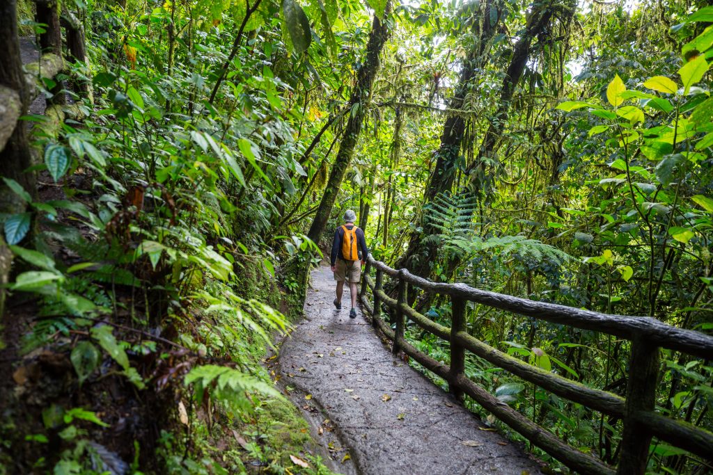 Best Times of Year to Visit Costa Rica for Nature and Wildlife