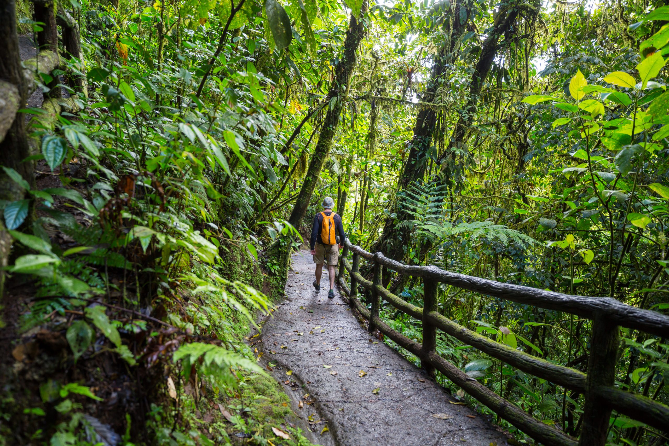 Best Times of Year to Visit Costa Rica for Nature and Wildlife