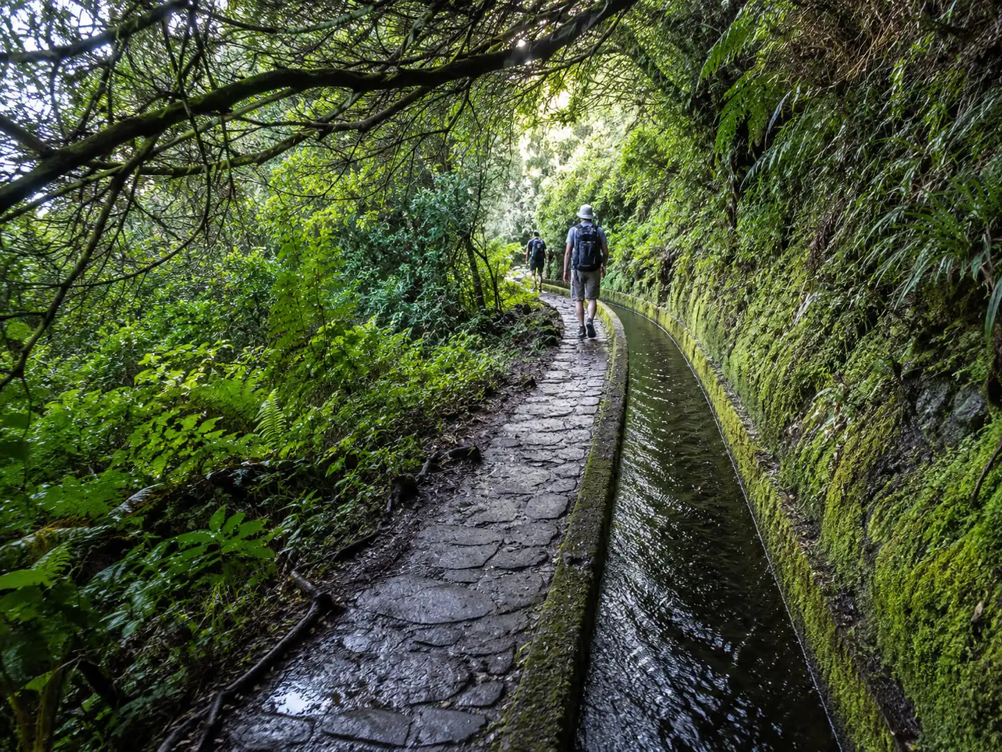 Vereda dos Balcões Trail
