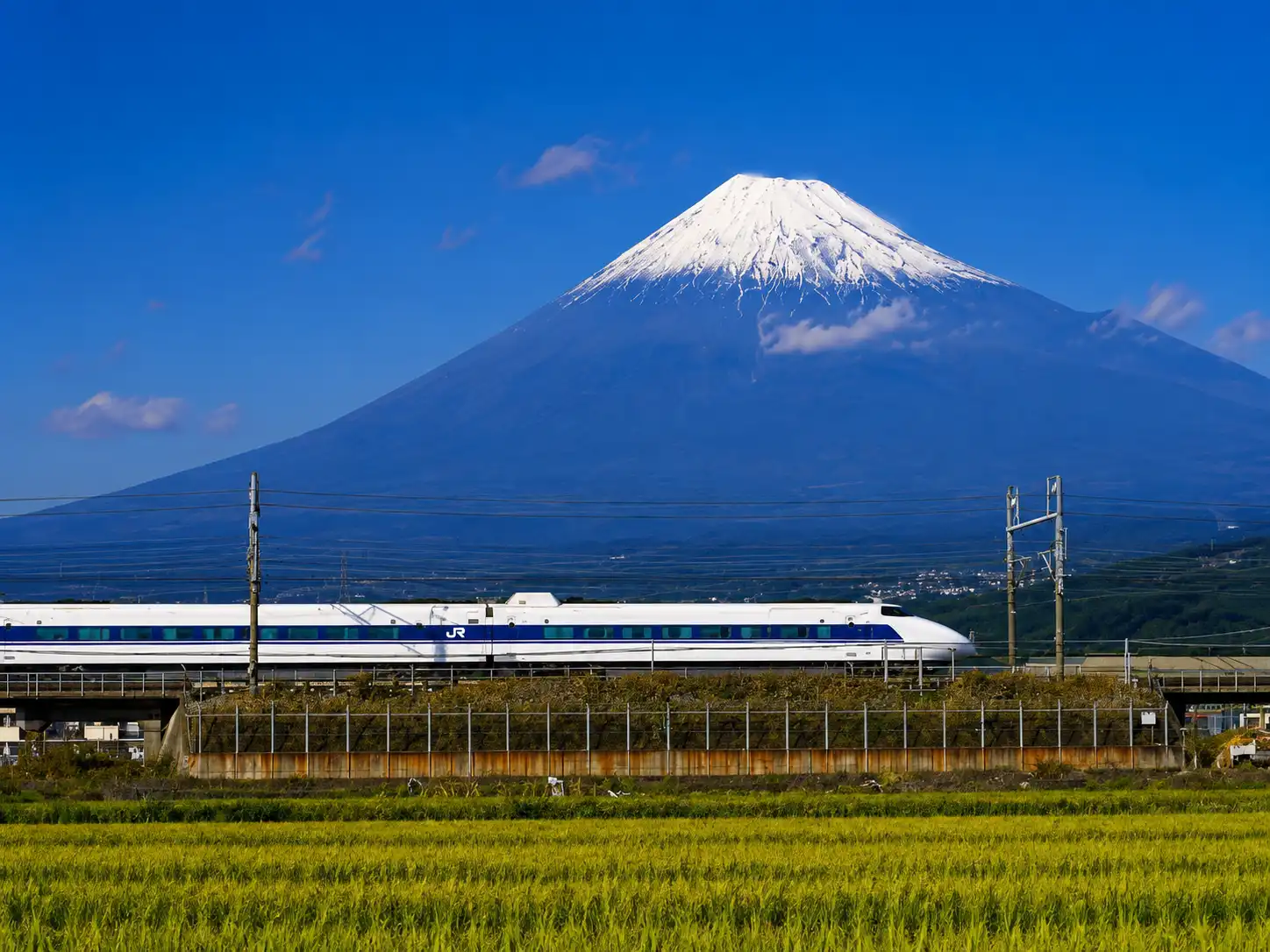 How To Travel From Tokyo To Kyoto