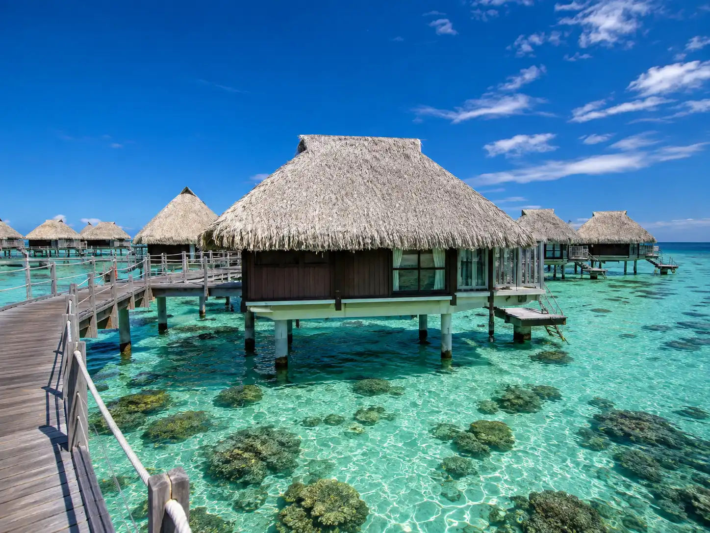Welcome to Moorea: One of the Crown Jewels of French Polynesia