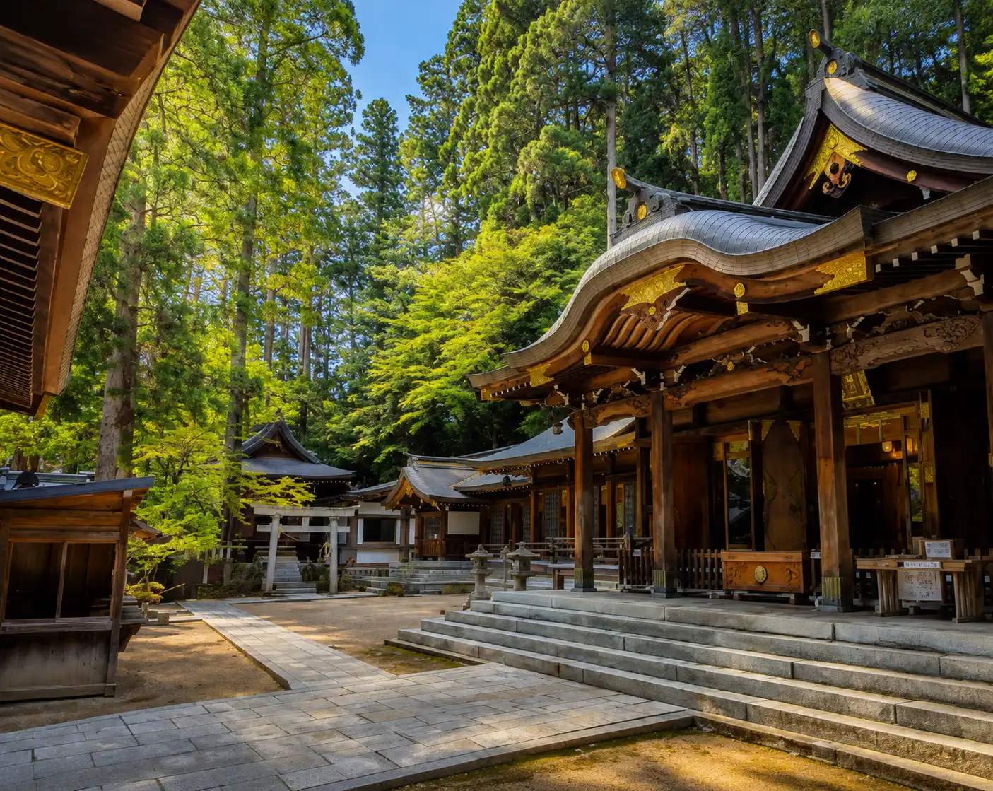 Travel Tips for Visiting Sapporo