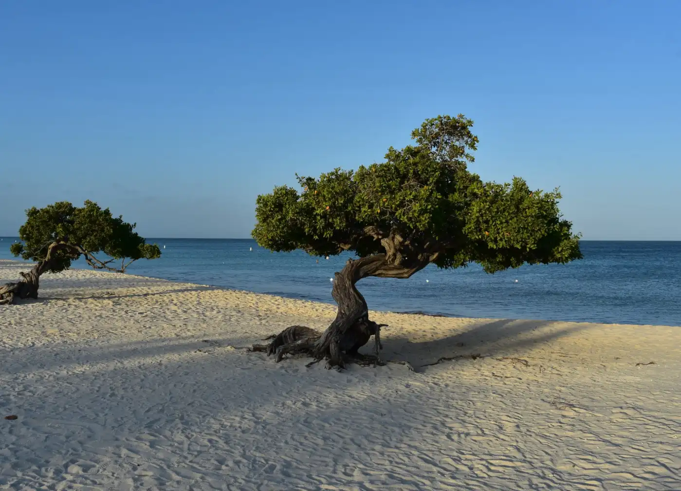 Best Places to Travel in February for Warm Weather