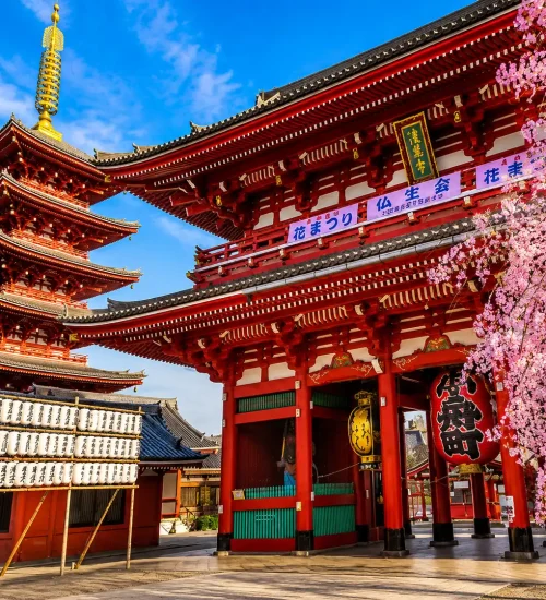Tokyo Travel Guide: Navigating Japan’s Electric Metropolis