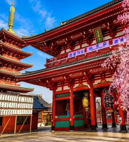 Tokyo Travel Guide: Navigating Japan’s Electric Metropolis