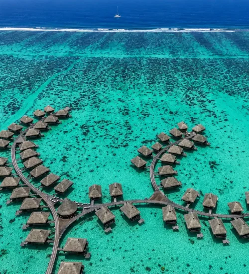 Moorea Travel Guide-Overwater Bungalows, Whale Watching & Island Attractions