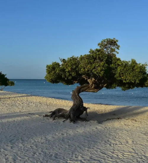 Best Places to Travel in February for Warm Weather