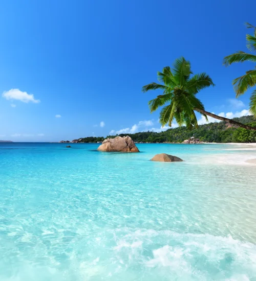 Best Places to Visit in January 2027 for Warm Weather and Sunshine