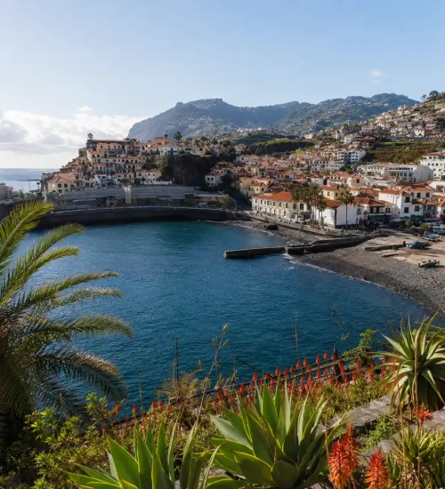 Explore Madeira Step by Step A Two-Week Journey Through Nature, Cliffs & Hidden Trails