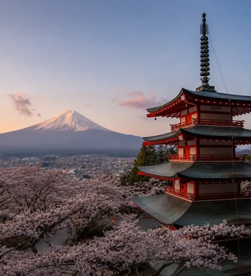 Travel Japan with Confidence: A Step-by-Step Guide for First-Time Visitors