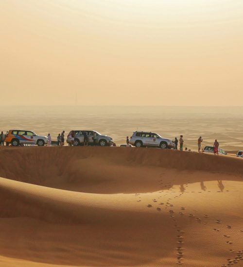 cars in desert near Dubai, United Arab Emirates