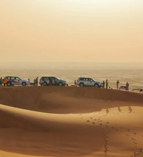 cars in desert near Dubai, United Arab Emirates
